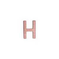 14KR Letter H 6.19mm